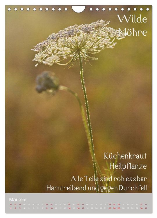 Produktbild: Unkr&auml;uter - N&uuml;tzliche Wildpflanzen auf der Wiese (Wandkalender 2026 DIN A4 hoch), CALVENDO Monatskalender