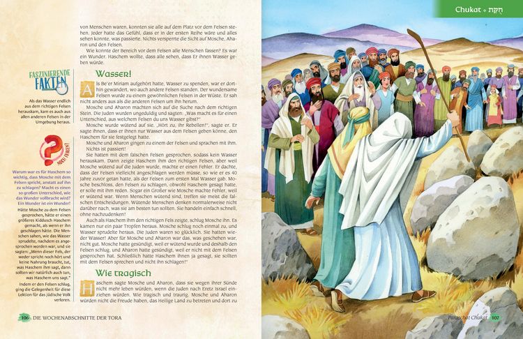 Produktbild: Die Wochenabschnitte der Tora. Band 4. Buch Bamidbar.