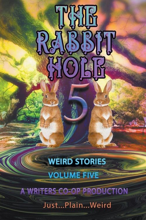 Produktbild: The Rabbit Hole volume 5