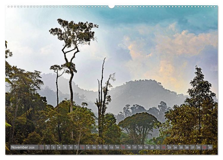 Produktbild: Im Regenwald von Borneo (Wandkalender 2026 DIN A2 quer), CALVENDO Monatskalender