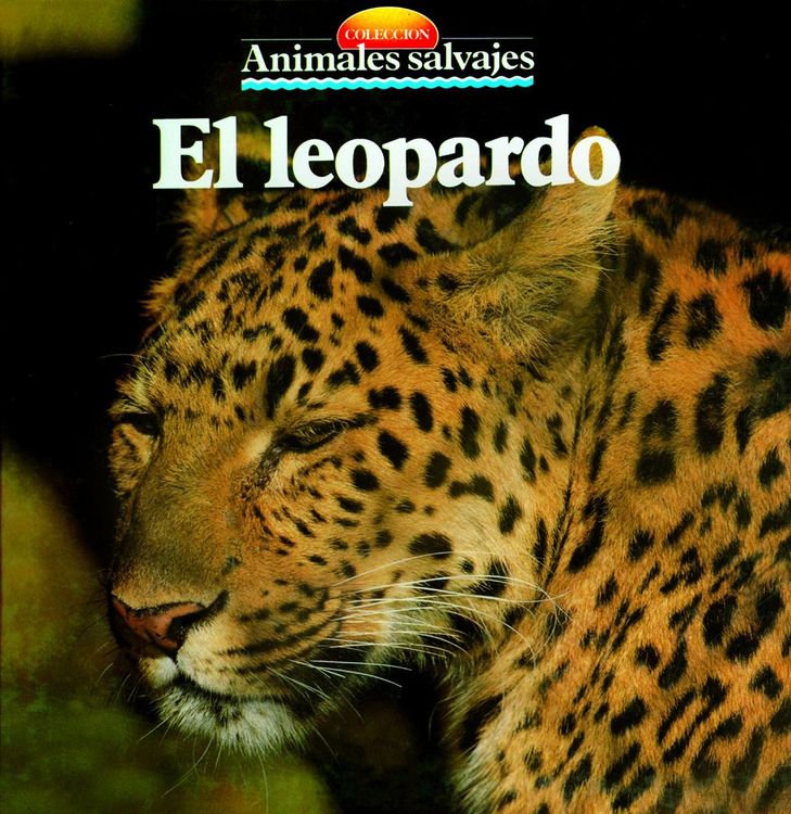 Produktbild: El leopardo