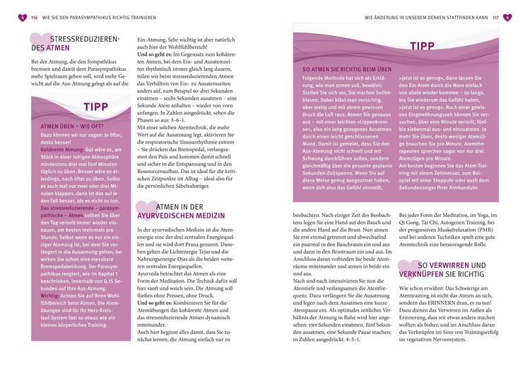 Produktbild: Das Parasympathikus-Prinzip