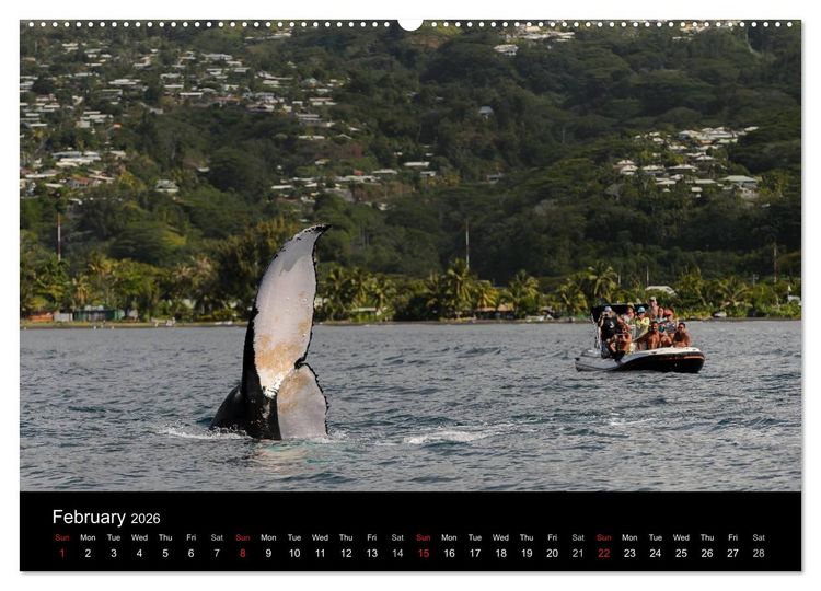 Produktbild: Bora Bora, Paradise islands (High Quality Premium Wall Calendar 2026 DIN A2 landscape),CALVENDO 12 Month Wall Calendar