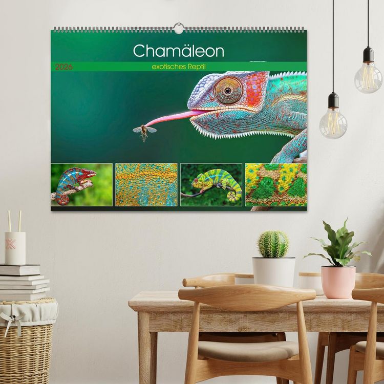 Produktbild: Cham&auml;leon - exotisches Reptil (Wandkalender 2026 DIN A2 quer), CALVENDO Monatskalender