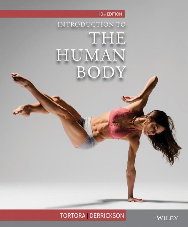 Produktbild: Tortora, G: Introduction to the Human Body