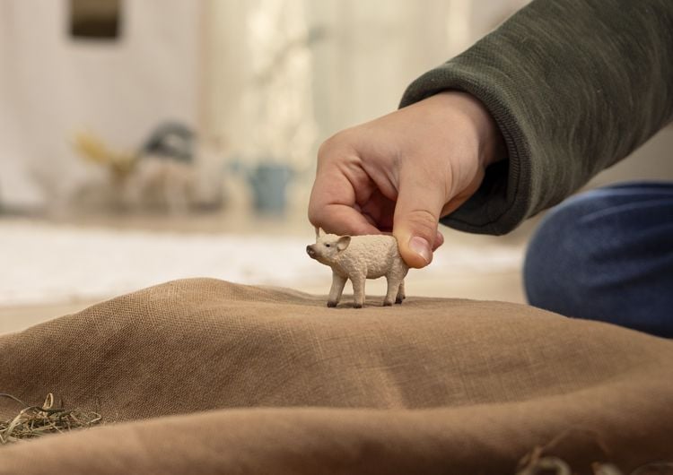 Produktbild: schleich&reg; Farm World Wollschwein Ferkel