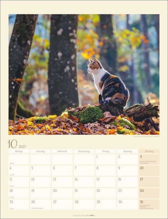 Produktbild: Katzen auf dem Lande Kalender 2027
