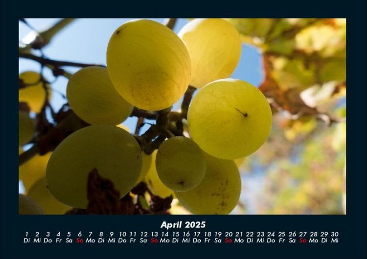 Produktbild: Obstkalender 2025 Fotokalender DIN A4