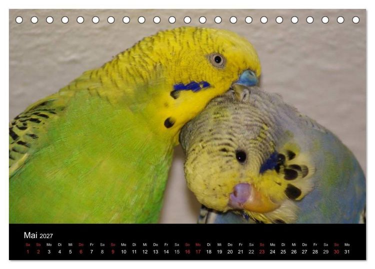 Produktbild: Die Welt der Haustiere (Tischkalender 2027 DIN A5 quer), CALVENDO Monatskalender