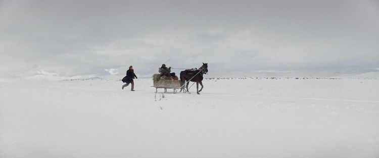 Produktbild: Auf trockenen Gr&auml;sern