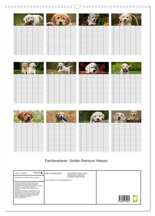 Produktbild: Familienplaner: Golden Retriever Welpen (Wandkalender 2027 DIN A2 hoch), CALVENDO Monatskalender