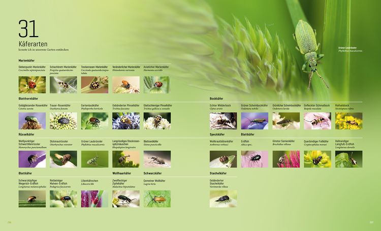 Produktbild: Mein Artenretter Garten