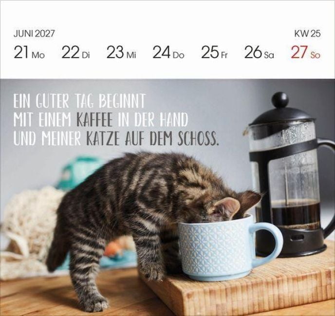 Produktbild: Katzen 2027
