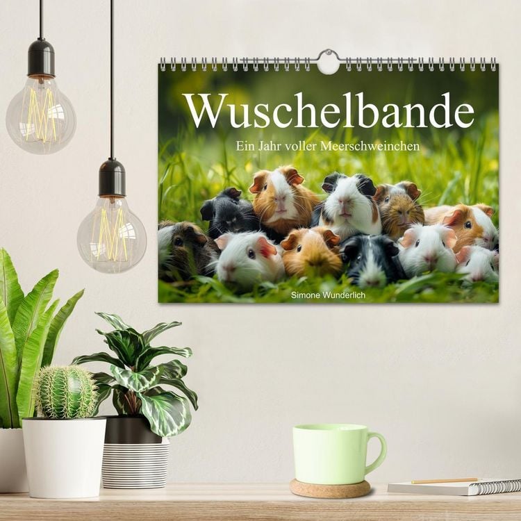 Produktbild: Wuschelbande - Ein Jahr voller Meerschweinchen (Wandkalender 2026 DIN A4 quer), CALVENDO Monatskalender