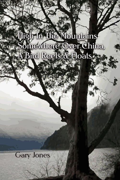 Produktbild: High In the Mountains Somewhere Over China, A Bird Reels & Floats