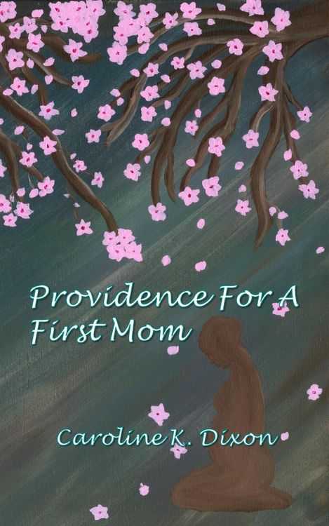 Produktbild: Providence For a First Mom