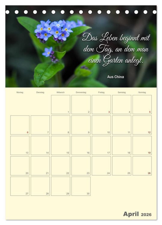 Produktbild: Gartenliebe (Tischkalender 2026 DIN A5 hoch), CALVENDO Monatskalender