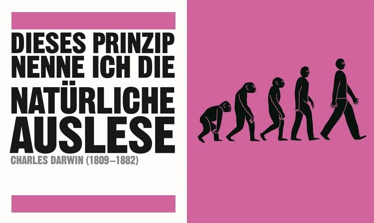 Produktbild: Big Ideas. Das Wissenschafts-Buch