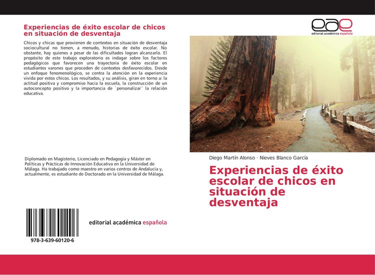 Produktbild: Experiencias de &eacute;xito escolar de chicos en situaci&oacute;n de desventaja