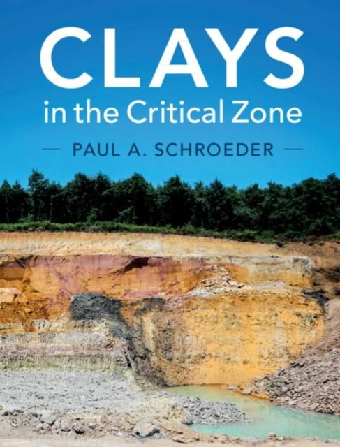 Produktbild: Clays in the Critical Zone