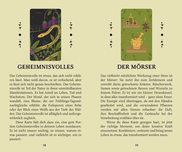 Produktbild: Die gr&uuml;ne Hexe und ihr geheimes Orakel