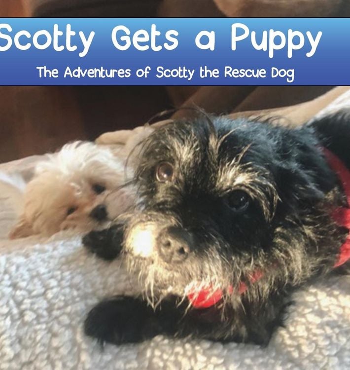 Produktbild: Scotty Gets a Puppy
