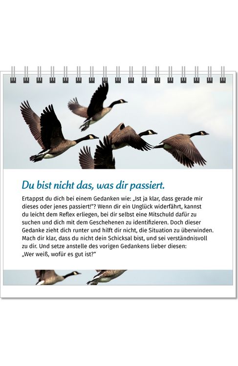 Produktbild: Der Lebensfreude-Tischkalender 2027