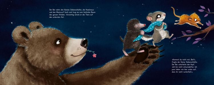 Produktbild: Der kleine Siebenschl&auml;fer 6: Die Geschichte vom kleinen Siebenschl&auml;fer, der dem Mond Gute Nacht sagen wollte