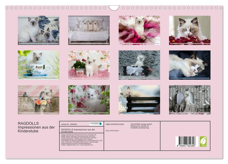 Produktbild: RAGDOLLS Impressionen aus der Kinderstube (Wandkalender 2026 DIN A3 quer), CALVENDO Monatskalender