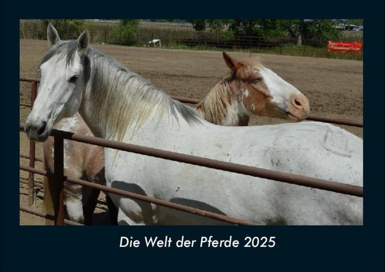 Produktbild: Die Welt der Pferde 2025 Fotokalender DIN A4