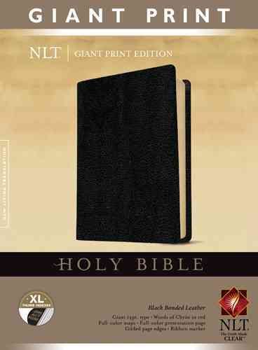 Produktbild: Giant Print Bible-NLT