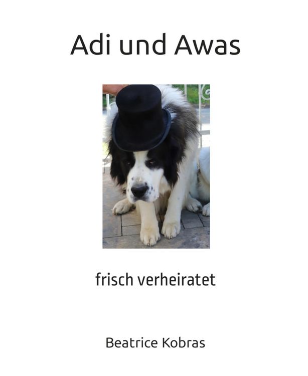Produktbild: Adi und Awas