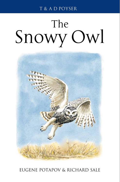 Produktbild: The Snowy Owl