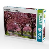 Produktbild: CALVENDO Puzzle Kirschbl&uuml;te im Magdeburger Holzweg | 1000 Teile Lege-Gr&ouml;&szlig;e 64x48cm Foto-Puzzle f&uuml;r gl&uuml;ckliche Stunden