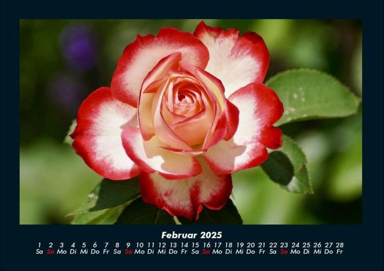 Produktbild: Blumenzauber 2025 Fotokalender DIN A4