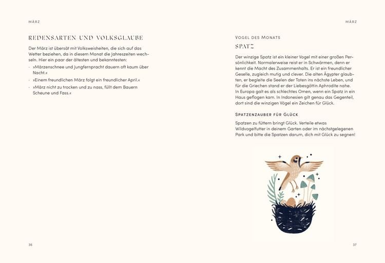 Produktbild: The Mystical Year