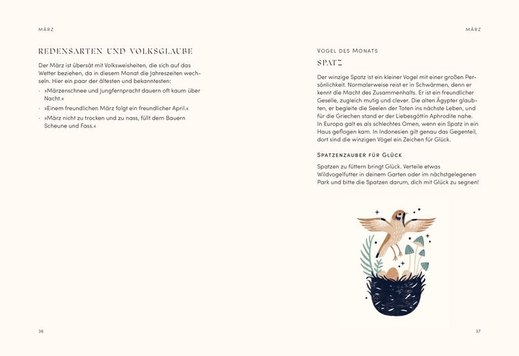 Produktbild: The Mystical Year