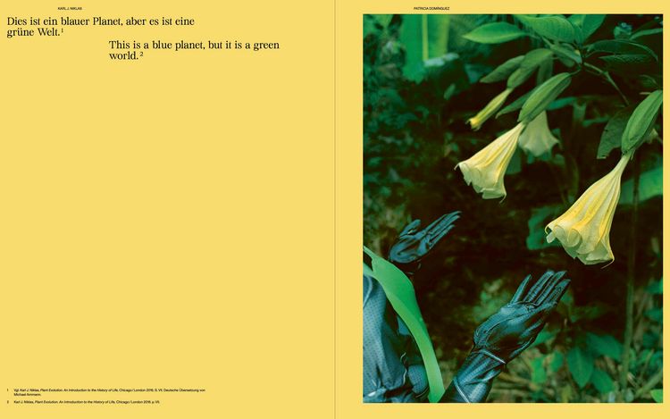 Produktbild: Senses of Plants / Die Sinne der Pflanzen