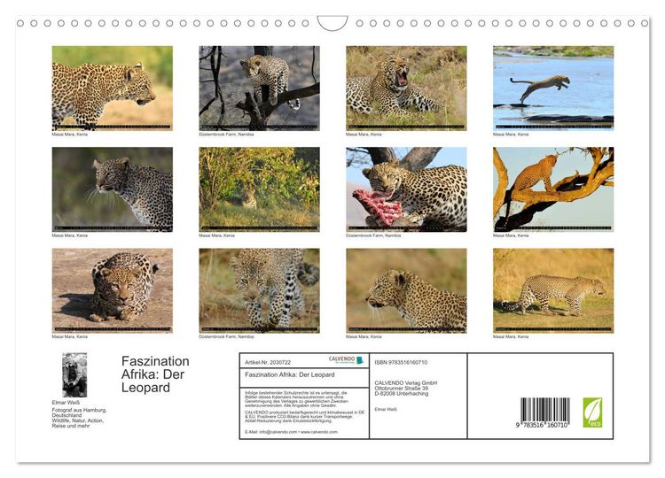 Produktbild: Faszination Afrika: Der Leopard (Wandkalender 2026 DIN A3 quer), CALVENDO Monatskalender