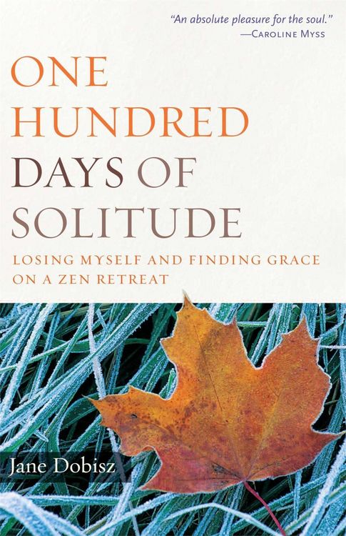 Produktbild: One Hundred Days of Solitude