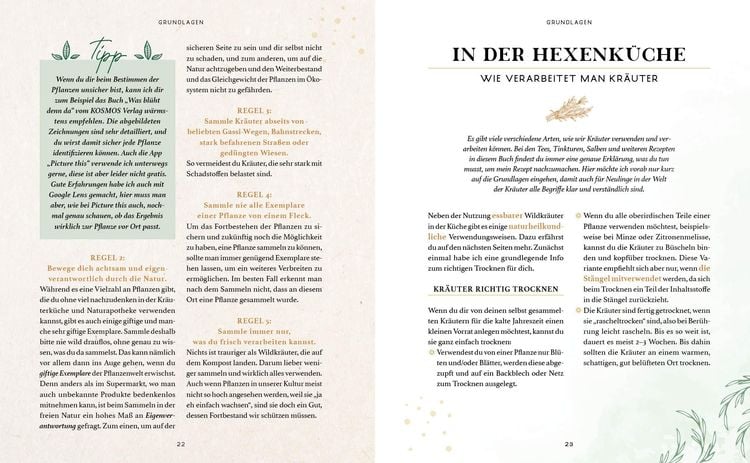 Produktbild: Zaubernuss und Waldmagie – Naturmomente für deine Seele