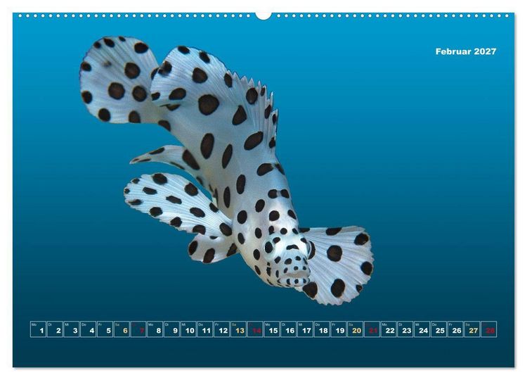Produktbild: Unterwasser-Galerie (Wandkalender 2027 DIN A2 quer), CALVENDO Monatskalender