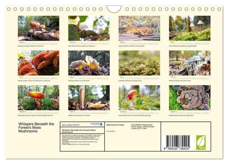 Produktbild: Whispers Beneath the Forest's Moss Mushrooms (Wall Calendar 2026 DIN A4 landscape), CALVENDO 12 Month Wall Calendar