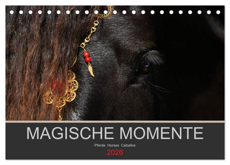 Produktbild: Magische Momente - Pferde Horses Caballos (Tischkalender 2026 DIN A5 quer), CALVENDO Monatskalender