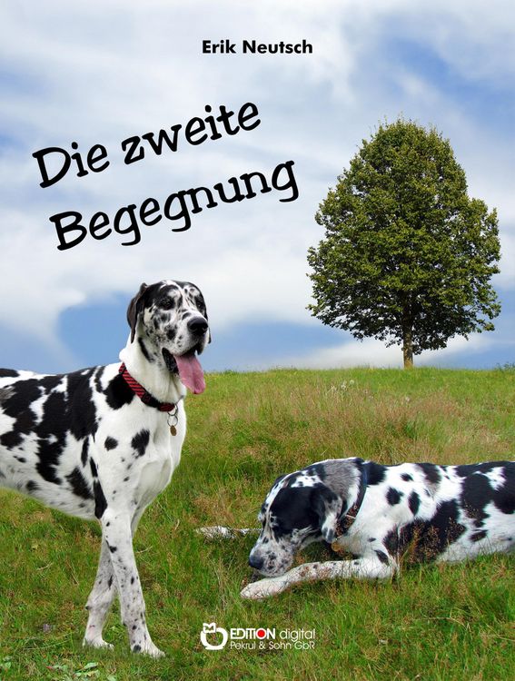 Produktbild: Die zweite Begegnung