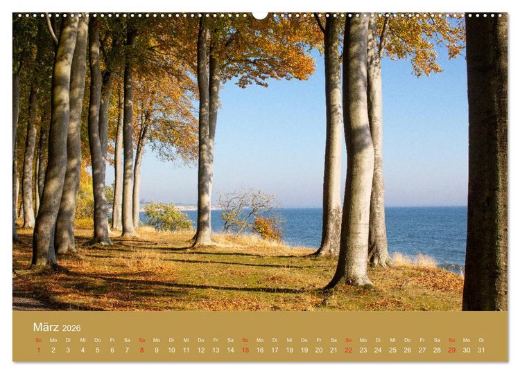 Produktbild: M&ouml;n, Impressionen einer d&auml;nischen Insel (hochwertiger Premium Wandkalender 2026 DIN A2 quer), Kunstdruck in Hochglanz