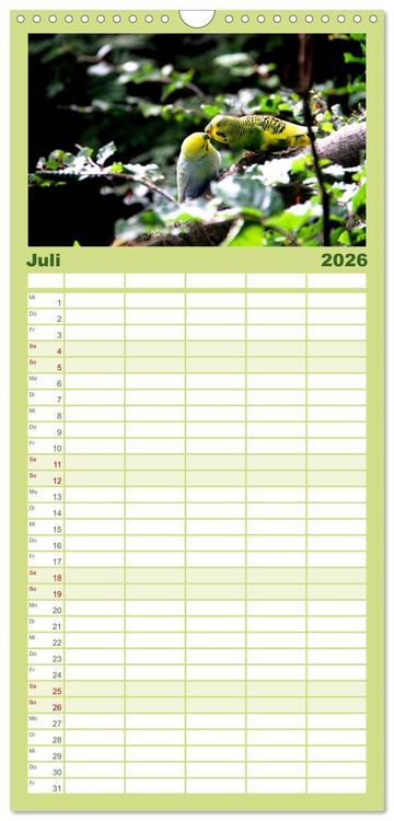Produktbild: Familienplaner 2026 - Wellensittiche - Naturkalender mit 5 Spalten (Wandkalender, 21 x 45 cm) CALVENDO