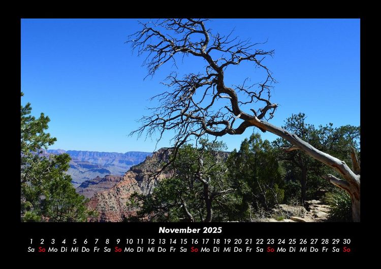 Produktbild: B&auml;ume 2025 Fotokalender DIN A3