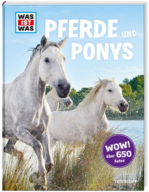 Produktbild: Pferde und Ponys