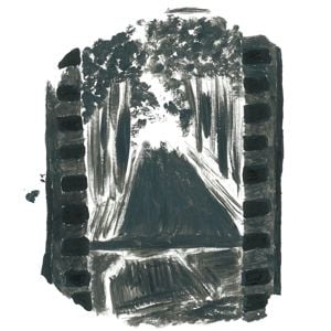 Produktbild: Winter Forever (Purple Vinyl)